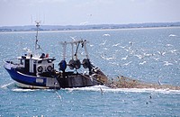 Fishing trawler off the port of Cancale in the Brittany region of France