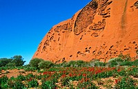Ayers Rock. Uluru-Kata Tjuta National Park. UNESCO World Heritage Site. Northern Territory. Australia