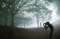 Photographers in a foggy day taking pictures of beech trees Fagus sylvatica , Montseny nature reserve, Spain  This is the Southernmost Beech forest in...