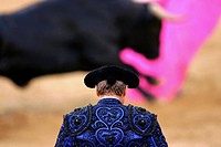 Assistant bullfighter Pablo Saugar ´Pirri´ looks a bull charging during the ´San Isidro´ bullfighting fair at ´Las Ventas´ bullring in Madrid