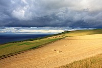 Scottish landscape with hay bales, Scoltand, UK