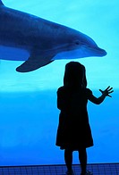 Girl watching bottlenose dolphins - Texas State Aquarium, Corpus Christi, Texas