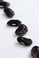 A diagonal row of purple and black Scarlett Runner beans