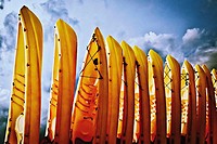 Row of kayaks at the beach.