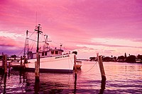 commercial fishing boats in harbor at sunset, Clearwater, Florida, USA, Atlantic Ocean