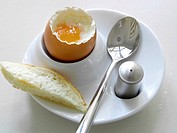 -Boiled Egg- Breackfast.
