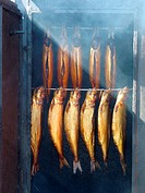 Smoked fishes, harbour, Wismar, Germany