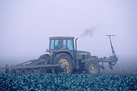 Farm plow tractor in fog shrouded field, near Guadalupe, Santa Maria Valley, San Luis Obispo County, CALIFORNIA