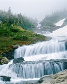 Lunch Creek Falls Glacier National