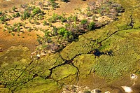Aerial photography of the Okavango Delta, river channel draining swamp with islands at the end of the dry season in October