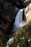 Lower Falls in the Yellowstone River Grand Canyon in Yellowstone National Park in Wyoming, United States