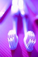 toothbrushes on purple background