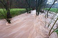 Flash Flood, on hill stream, autumn, Lower Saxony, Germany