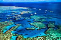 Bait Reef, Great Barrier Reef, Queensland, Australia (August, 2000)