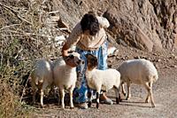 Shepherdress with her sheeps near Yusufeli, Artvin, Turkey, Asia, 2010
