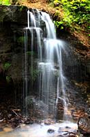 A small waterfall in the Wyre Forest, Near Bewdley, Worcestershire, England