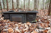 Logging camp artifact from the Swift River Railroad (1906-1916) in the Sabbaday Brook drainage of the White Mountains, New Hampshire USA.  