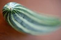 Organic Armenian cucumber from CSA Community Supported Agriculture, Tucson, AZ