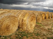 Straw bales, Teruel province, Aragon, Spain