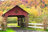 Red Covered Bridge in Autumn with Corn Stalks and Foliage, Stowe, Vermont, USA