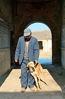 Man farmer with pet greyhound hound lurcher hunting dog in rural farming village of Poli near Penglai, Shandong Province, China