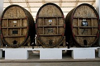 Perú. Ica. Tacama wineries. Old wine barrels.