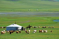 Mongolia, Ovorkhangai province, Yurt camp, Orkhon valley
