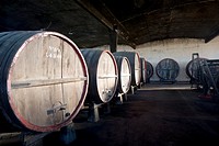 Barrels of Wine Bernadi Winery, Colonia del Sacramento, Uruguay, South America