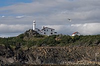 Lighthouse Lobster Cove Head Newfoundland and Labrador