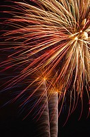 Fireworks light the night sky, Annapolis, Maryland, USA