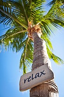 Relax sign on coconut palms along the beach in Key West, Florida