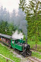 steam train, Museum of Kysuce village, Vychylovka, Slovakia
