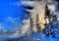 Steam and sun envelope trees during the winter landscape at Yellowstone National Park, Wyoming