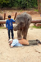 Elephant training camp Chiang Dao at Chiang Mai province, performing a show