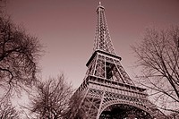 Eiffel Tower with Winter Trees in Paris, France