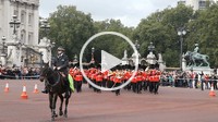 Grenadier Guards Band at the ´Changing of the Guard´ Ceremony at Buckingham Place in London