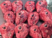 Sheep heads for sale on a butchers stall in the central meat and fish market on Athinas street, central Athens, Greece