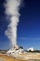 White Dome Geyser erupts against a clear blue sky