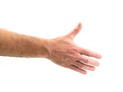 Male hands forming a handshake isolated against a white background