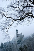 Neuschwanstein Castle, Schloss Neuschwanstein, from Hohenschwangau village, Schwangau, Ostallgau, Bavaria, Germany, Winter.