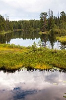 Sweden - Finland wildlife