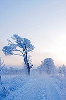Karlslund in Orebro winter, Sweden