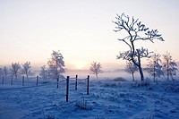 Karlslund in Orebro winter 2, Sweden