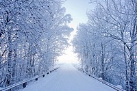 Karlslund winter way, Sweden