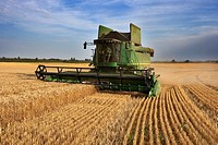 Combine-harvester on a field of wheat