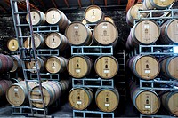 Barrels full of aging wine in a modern winery