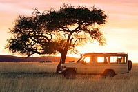 Safari vehicle in the sunset - Masai Mara National Reserve, Kenya