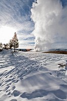 Old Faithful Geyser, Winter, Yellowstone NP, WY