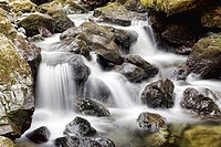 Lodore falls, Lake District, Cumbria, England