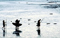 Neolithic prehistoric cave men walking on mudflats seashore carrying skin boat coracle curragh and spears